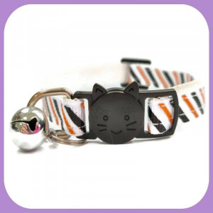 Kitten-164